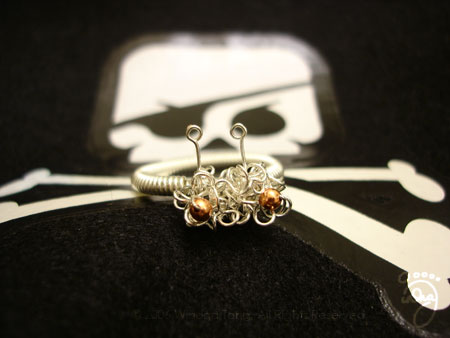 FSM ring